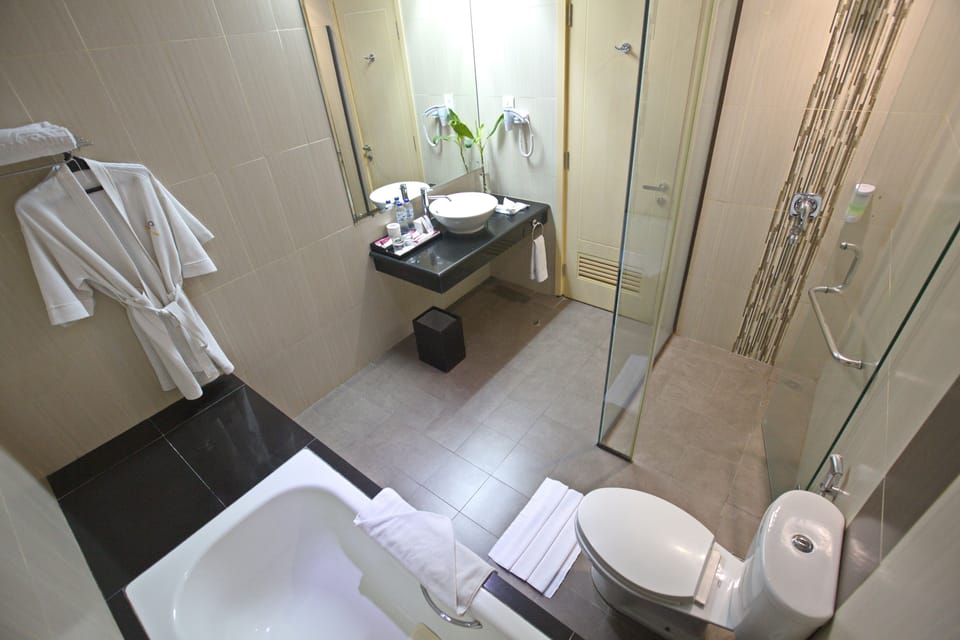 Royal Suite | Bathroom shower