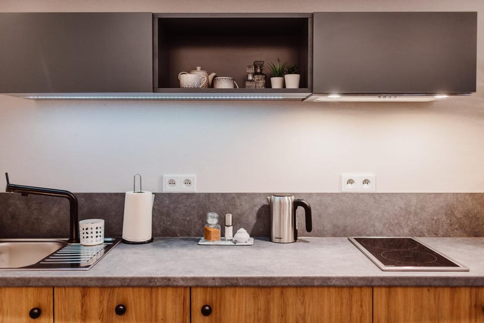 Double or Twin Room (Blue - 2 people) | Private kitchen | Fridge, microwave, stovetop, dishwasher