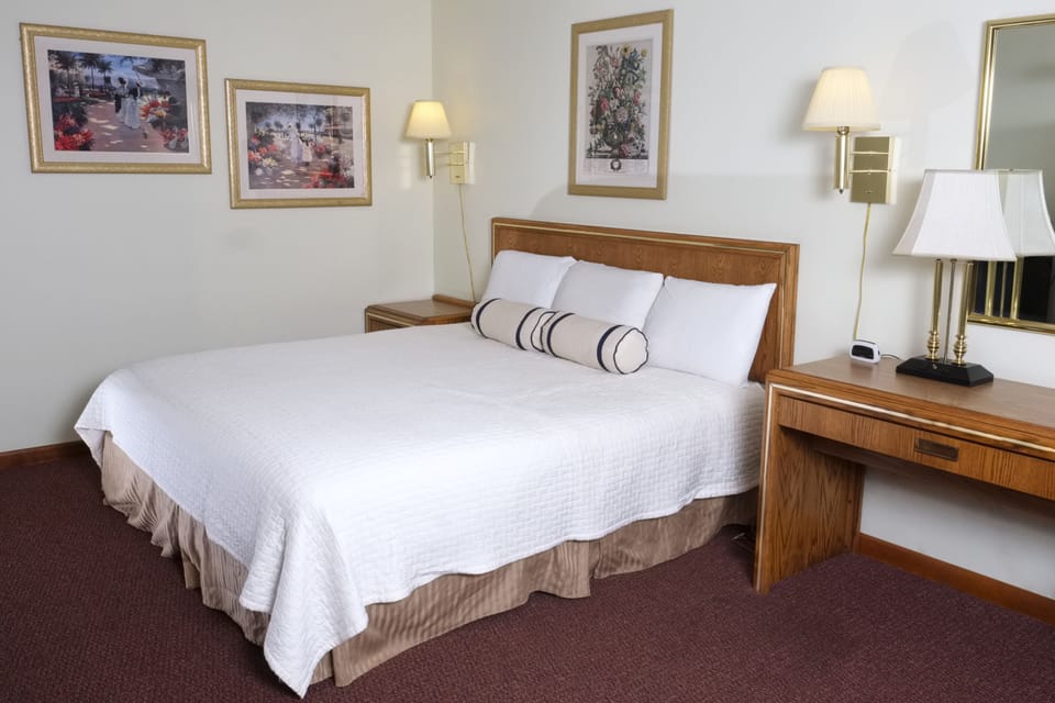 Deluxe Room, 1 King Bed (2 People) | Premium bedding, down comforters, pillowtop beds, in-room safe