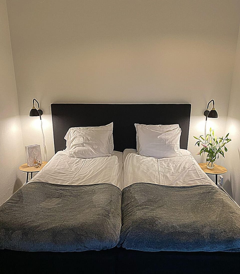 Standard Twin Room | Pillowtop beds, desk, WiFi (free), bed sheets