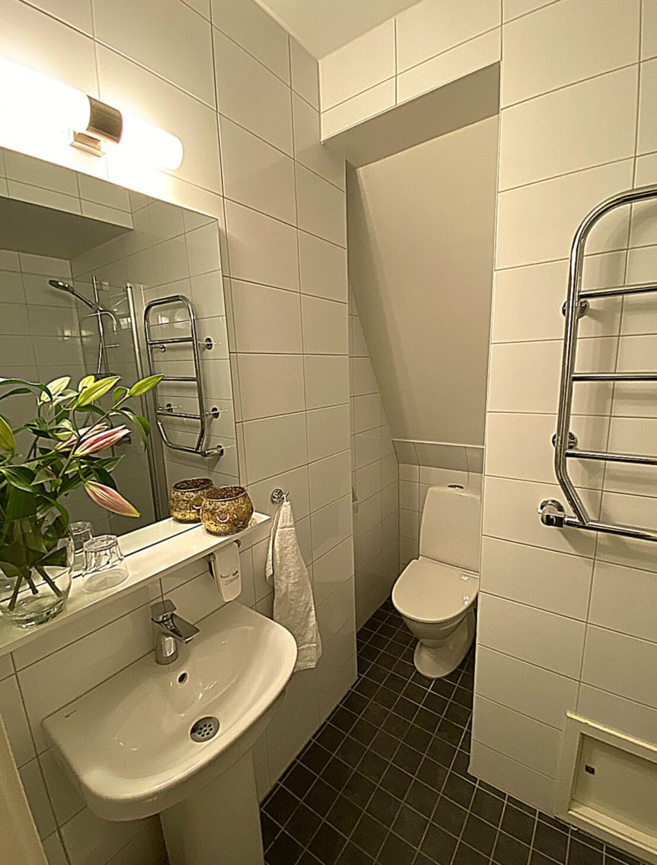 Shower, hair dryer (on request), towels