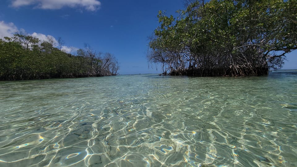 Beach nearby, white sand