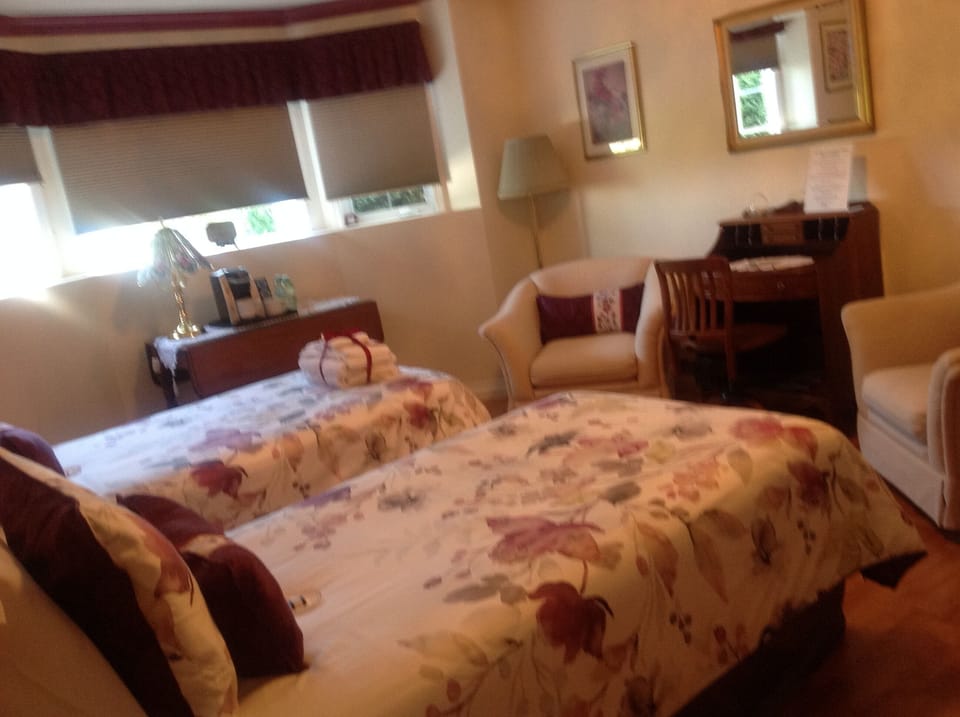 Single Room, 2 Twin Beds | Premium bedding, desk, iron/ironing board, WiFi (free)