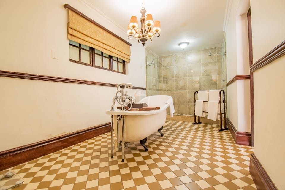 Premium Double or Twin Room | Bathroom | Free toiletries, hair dryer