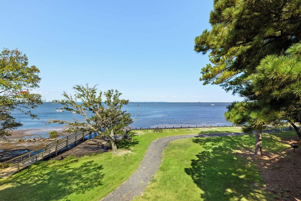 CL547: Animal House | Top Level Deck View