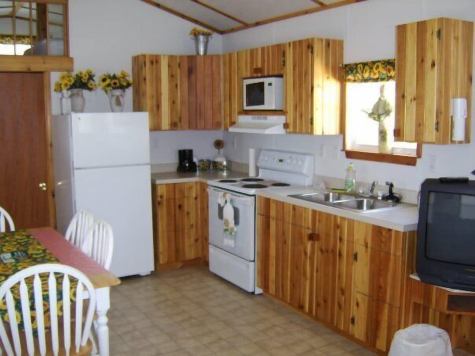 Family Cabin, 1 Bedroom, Kitchen, Hill View - NOT Pet Friendly | Private kitchen | Coffee/tea maker, fridge, microwave