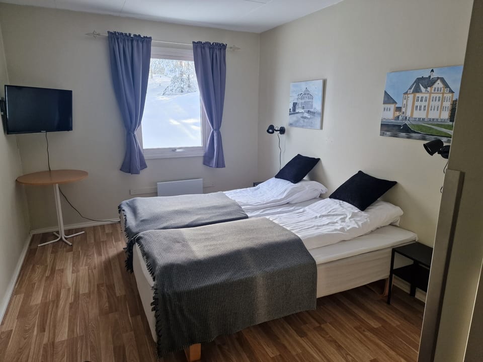 Twin Room, 1 Bedroom | Desk, iron/ironing board, rollaway beds, free WiFi