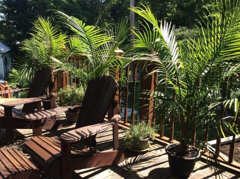 Ile De Garde B&B Bed and Breakfast in Sherbrooke