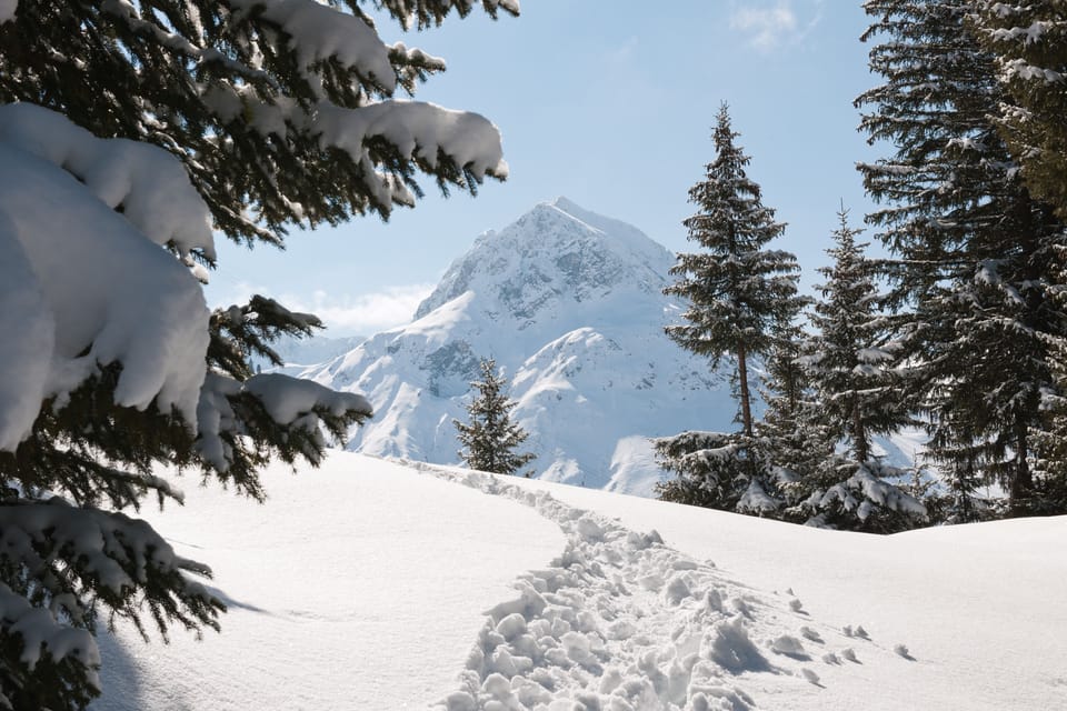 Snowshoeing