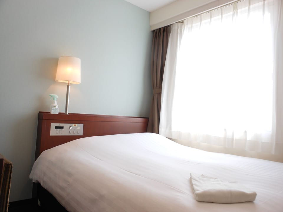 Single Room, Non Smoking | Premium bedding, down comforters, desk, blackout drapes