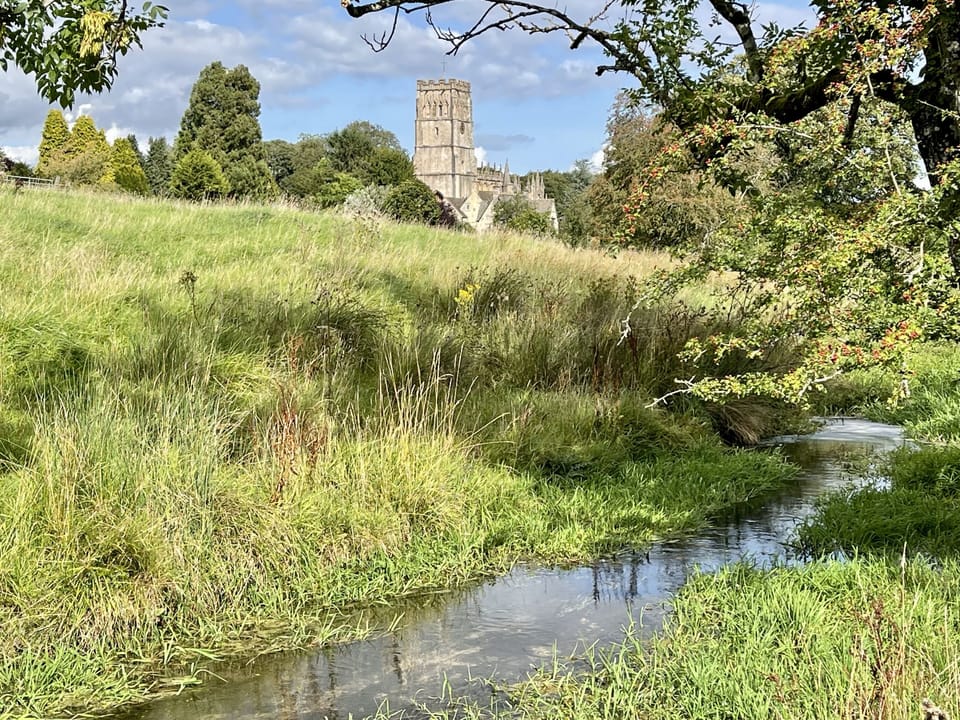 Lovely walks with or without dogs