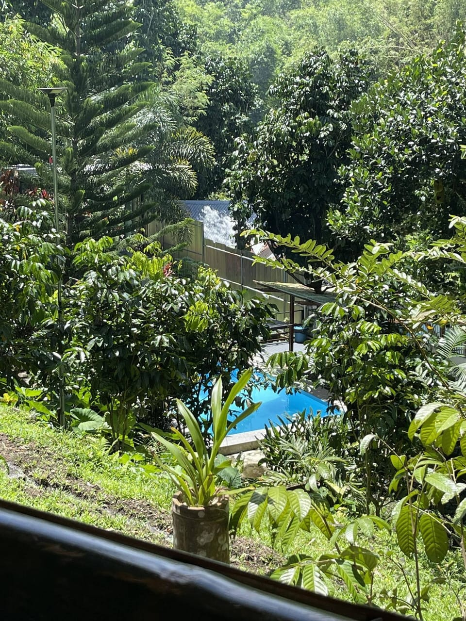 Balcony view