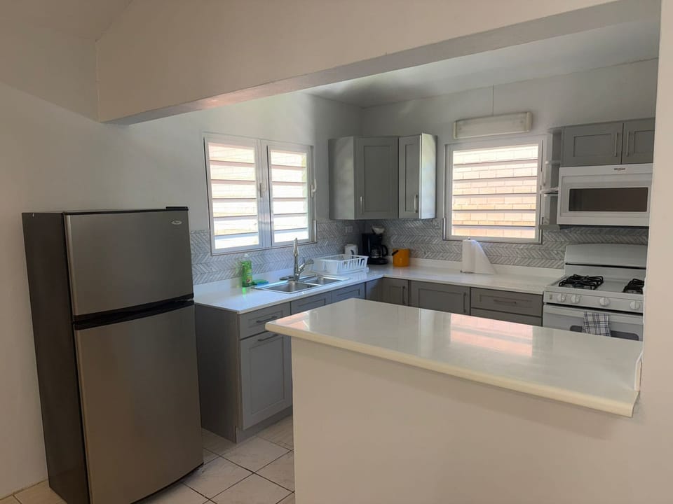 Triple Room with Joint Kitchen and Living Room | Private kitchen | Full-size fridge, microwave, oven, electric kettle