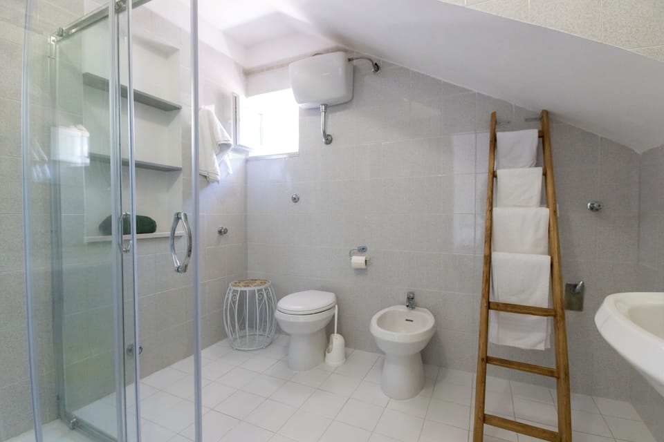 Deluxe Double or Twin Room | Bathroom | Shower, free toiletries, hair dryer, bidet