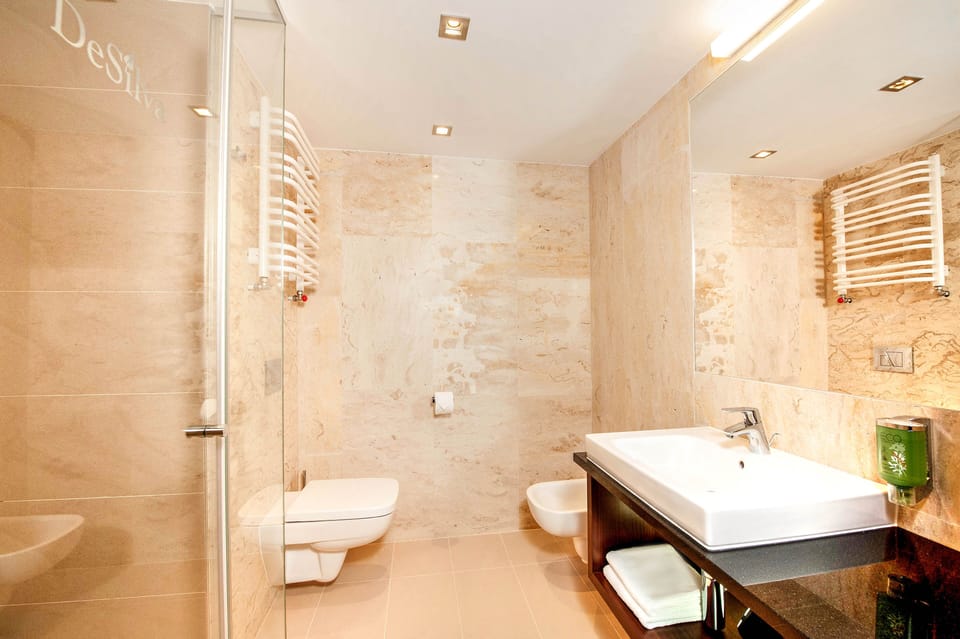 Shower, free toiletries, hair dryer, towels