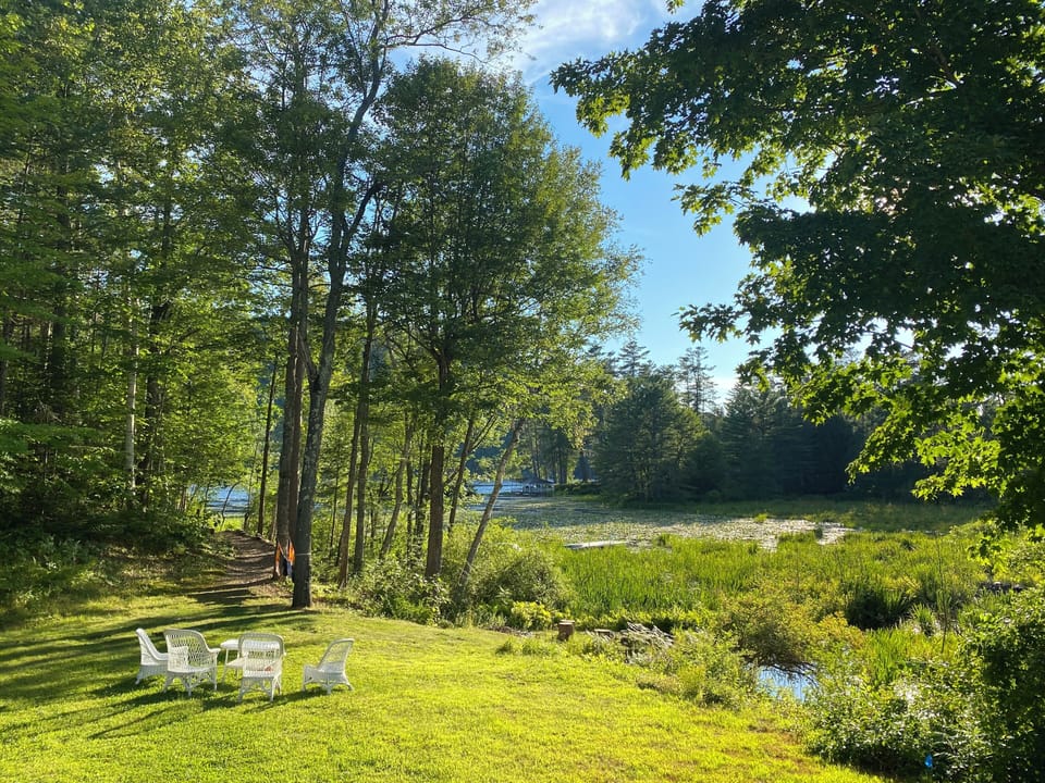 The backyard.