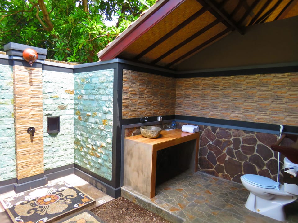 Deluxe Room | Bathroom | Shower, free toiletries, towels