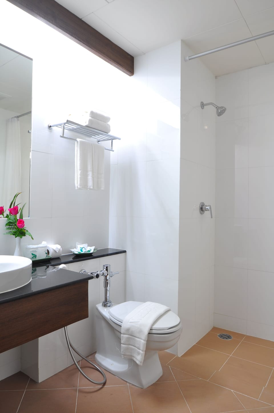 Shower, free toiletries, hair dryer (on request), towels