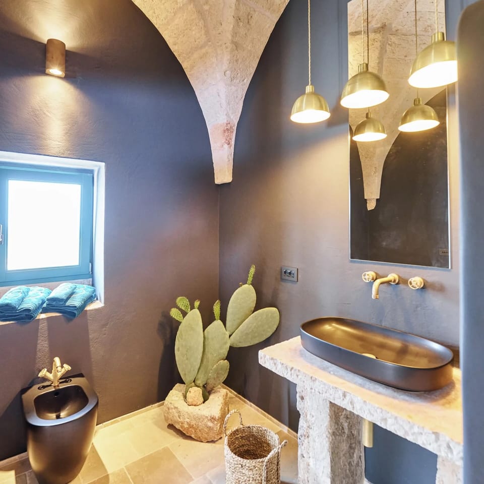 Deluxe Suite | Bathroom | Shower, rainfall showerhead, hair dryer, bathrobes