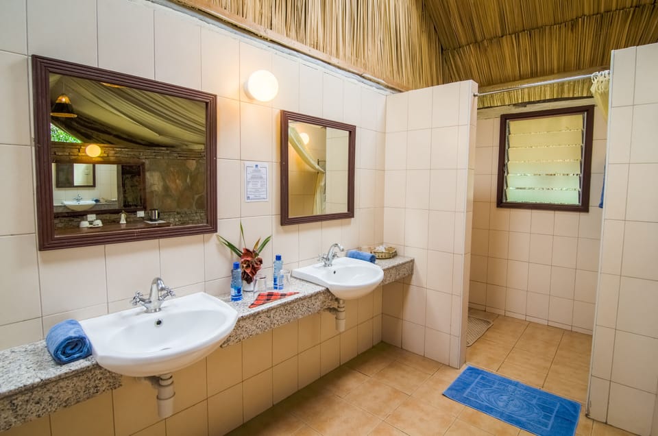Shower, free toiletries, towels, toilet paper