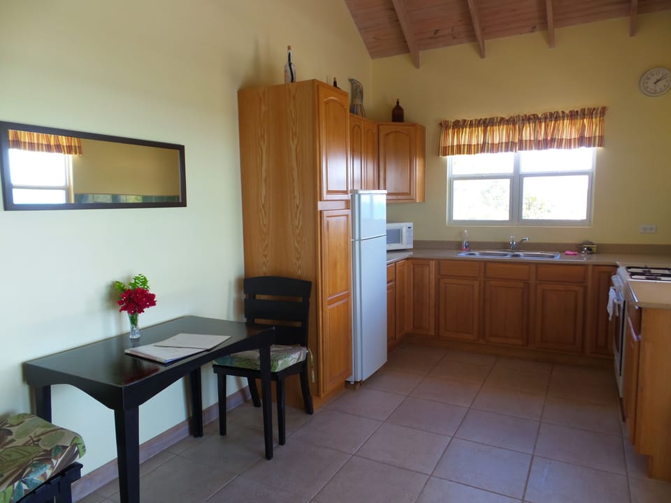 Standard Apartment, 1 Bedroom, Kitchen, Ground Floor | Private kitchenette | Coffee/tea maker, full-size fridge, microwave, stovetop