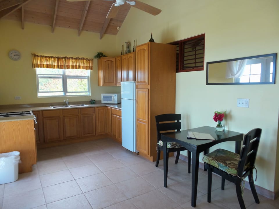 Superior Apartment, 1 Bedroom, Balcony, Sea View | Private kitchen | Coffee/tea maker, full-size fridge, microwave, stovetop
