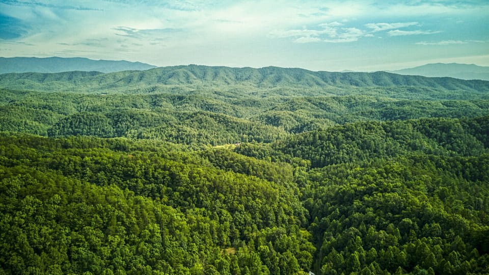 Stunning panoramic views of rolling hills and lush forests, perfect for reconnecting with nature.