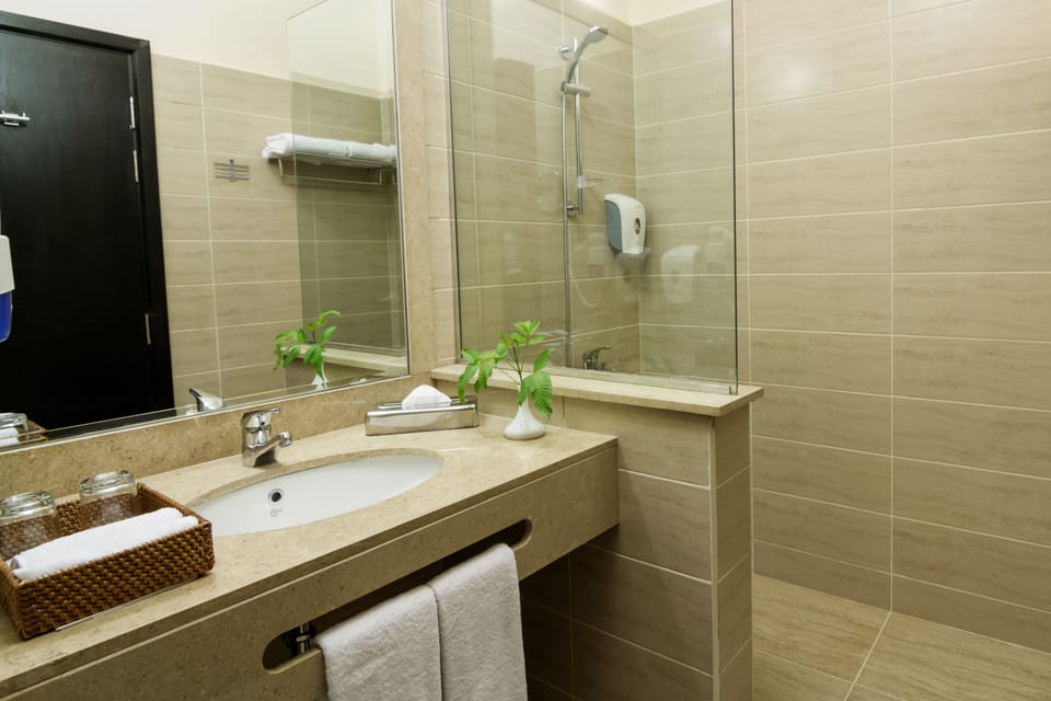 Shower, eco-friendly toiletries, hair dryer, towels
