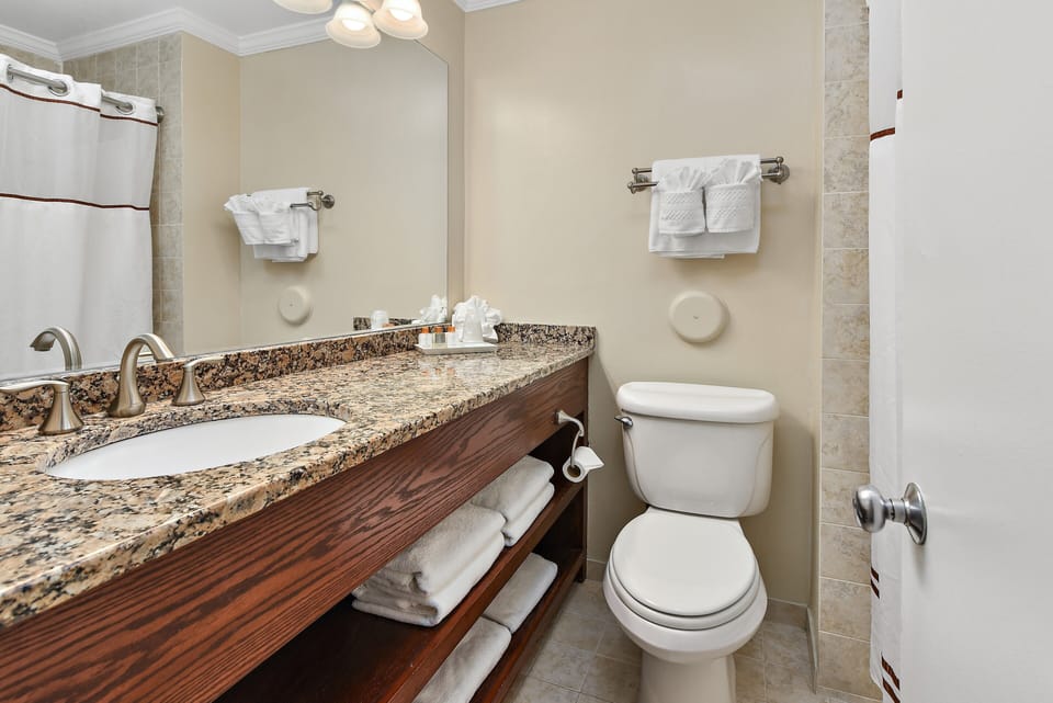Suite, 2 Double Beds | Bathroom | Free toiletries, hair dryer, towels, soap