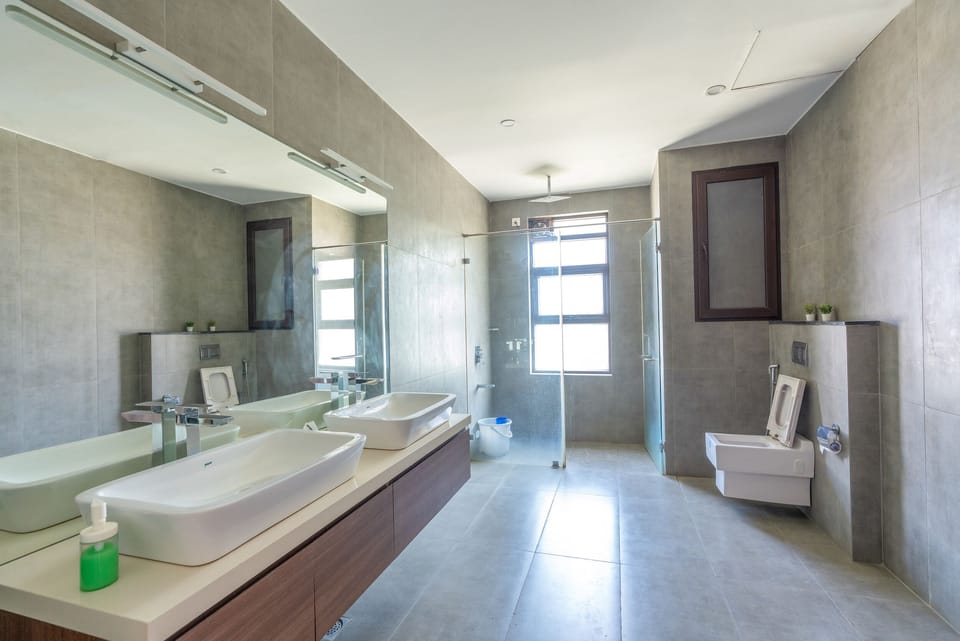 Shower, towels, toilet paper