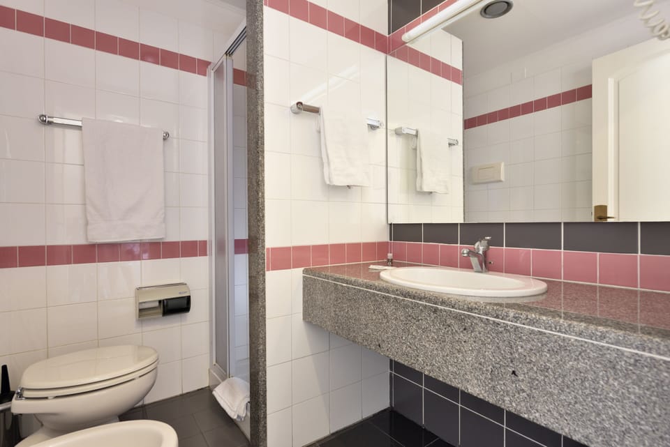 Free toiletries, hair dryer, bidet, towels