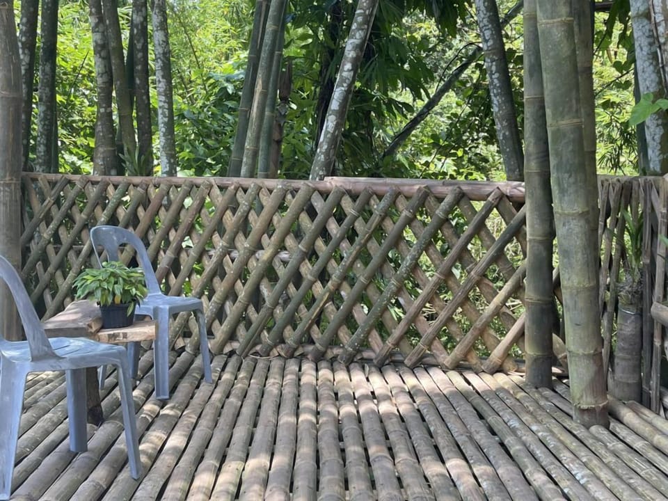 Kubo Picnic Area Viewing Deck Overlooking the Creek