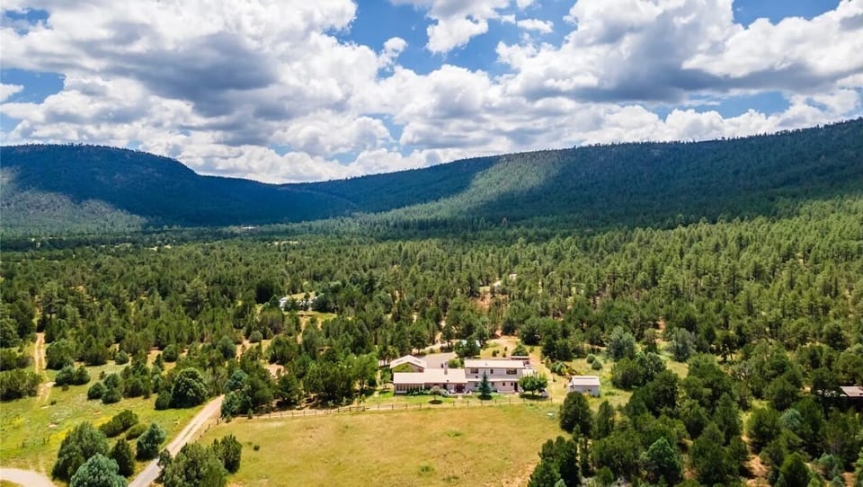 Extremely private while being nestled in the forest