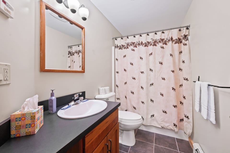 Main Floor Full Bathroom