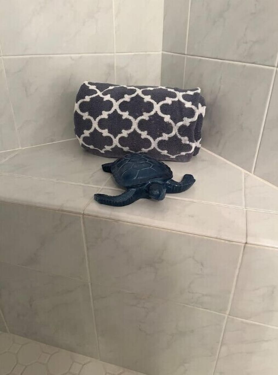 Master shower has grab bars and a lil visitor!