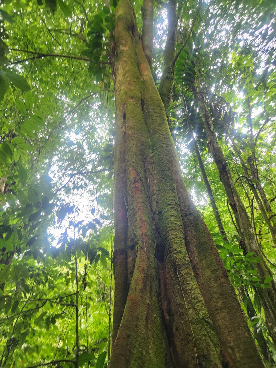 Hiking