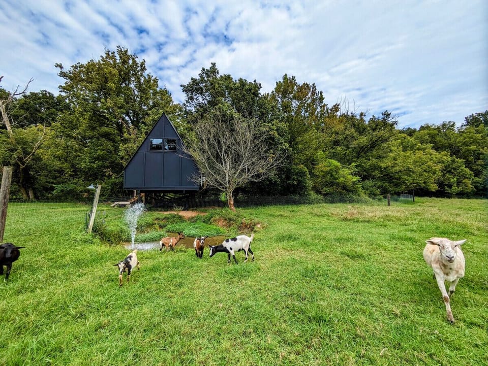 Feel free to feed and pet them- they love our guests!