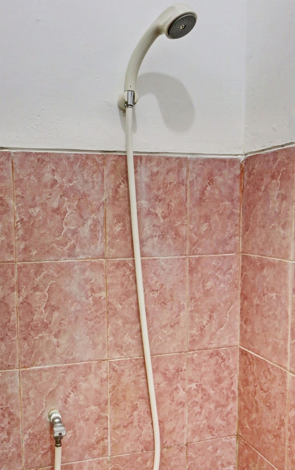 Shower, soap
