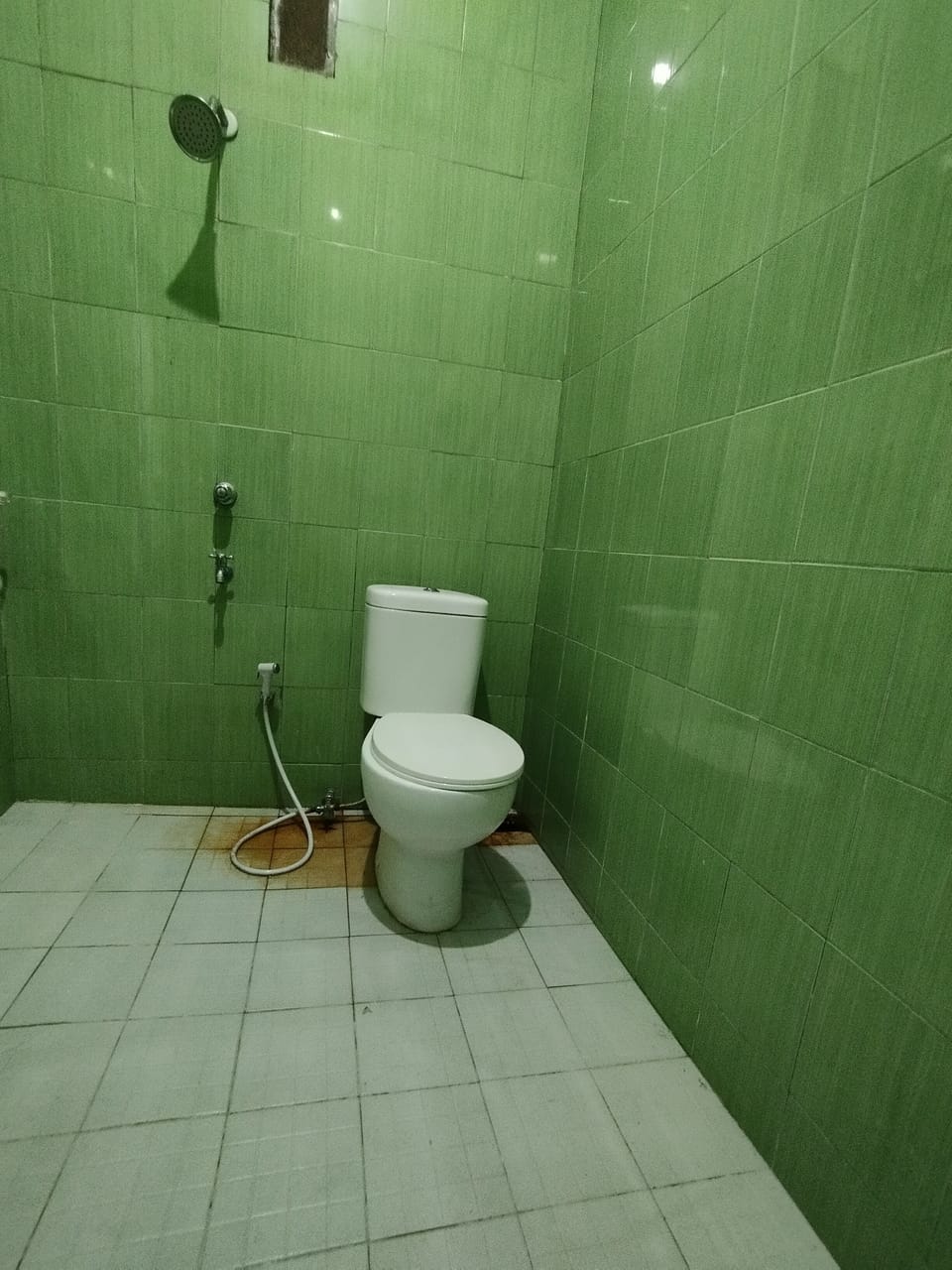 Economy Double Room | Bathroom | Shower