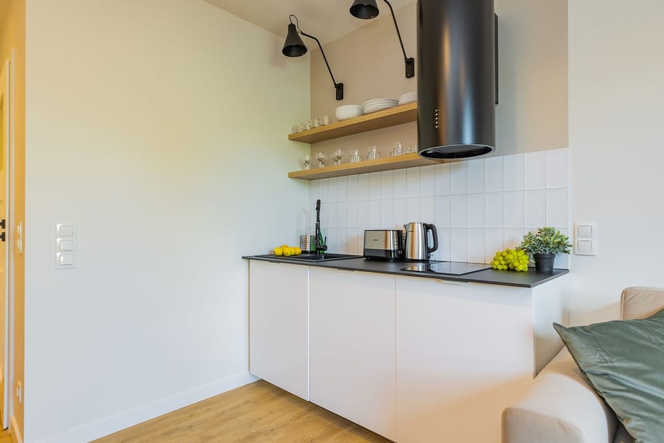 Comfort Apartment | Private kitchen | Mini-fridge, stovetop, dishwasher, electric kettle
