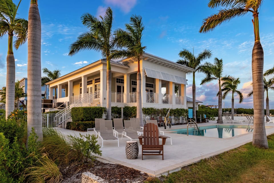 Enjoy outdoor relaxation with sun loungers, a pool, and tropical palm views.