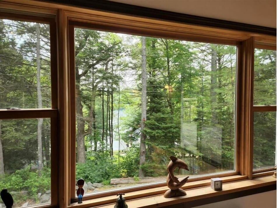 View of Biscay Pond through the trees from Great Room dining area.