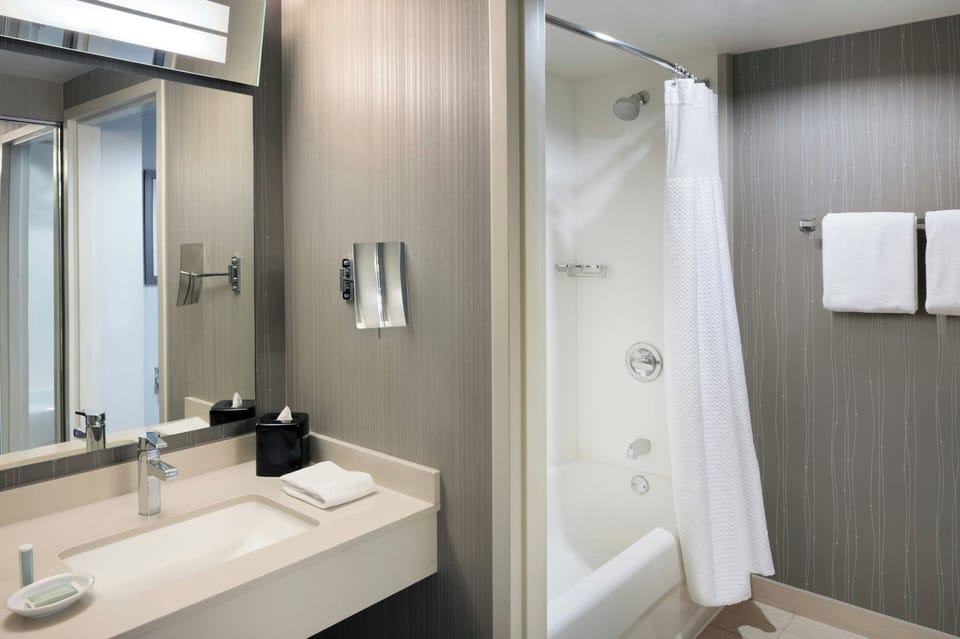 Combined shower/tub, free toiletries, hair dryer, towels