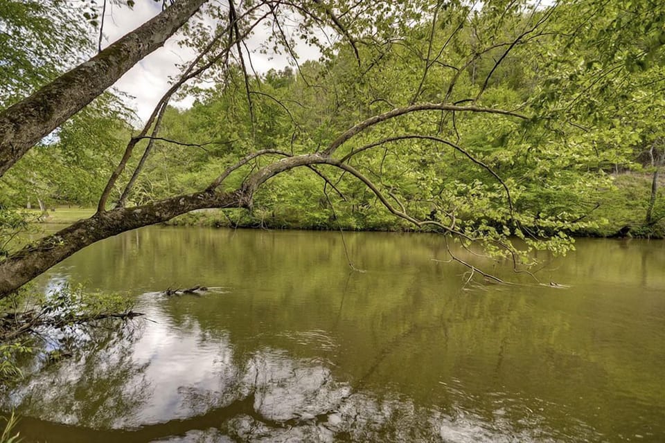 The Coosawattee River is right out your back door at the Relaxing River Retreat