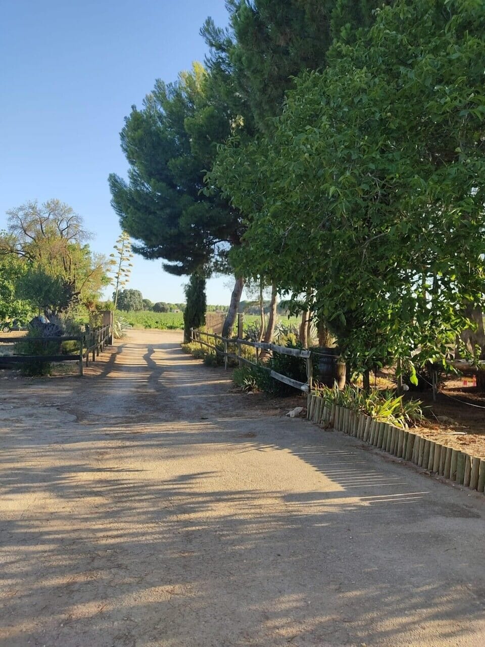 Casa Rural La Navarra Country House in La Mancha