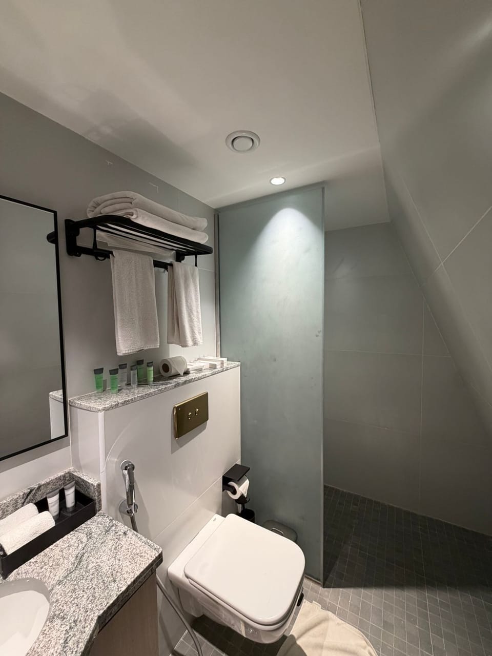 Deluxe Double Room | Bathroom | Free toiletries, hair dryer, slippers, towels