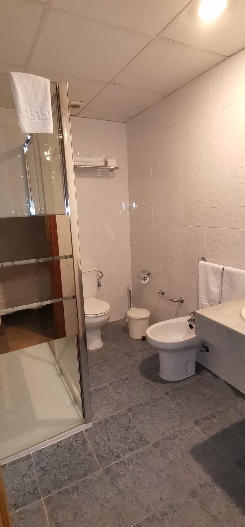 Free toiletries, hair dryer, bidet, towels