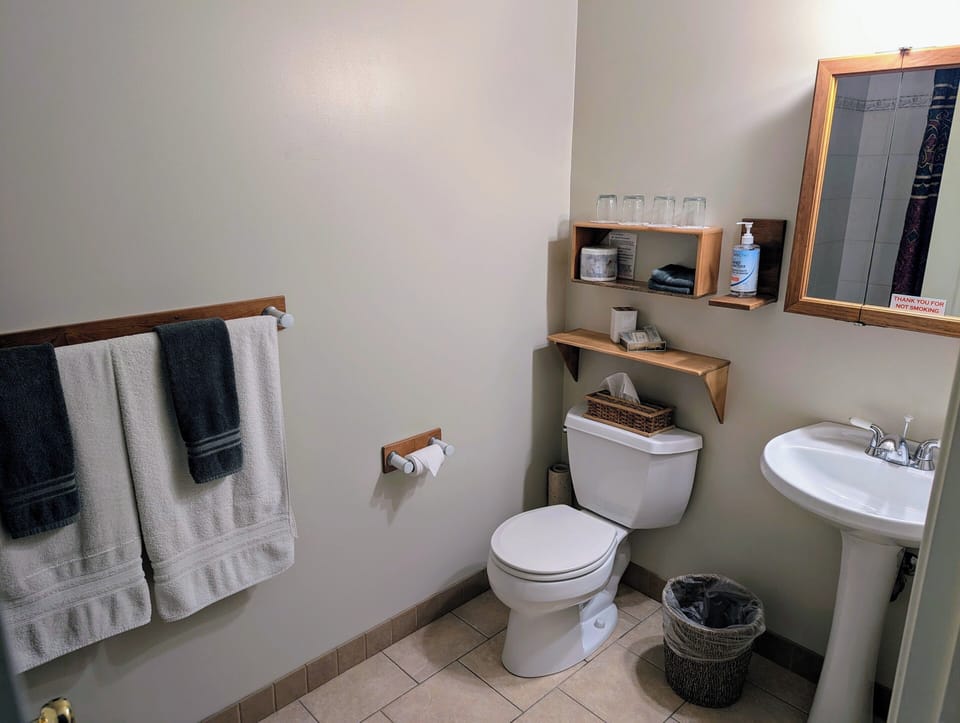 Combined shower/tub, jetted tub, hydromassage showerhead