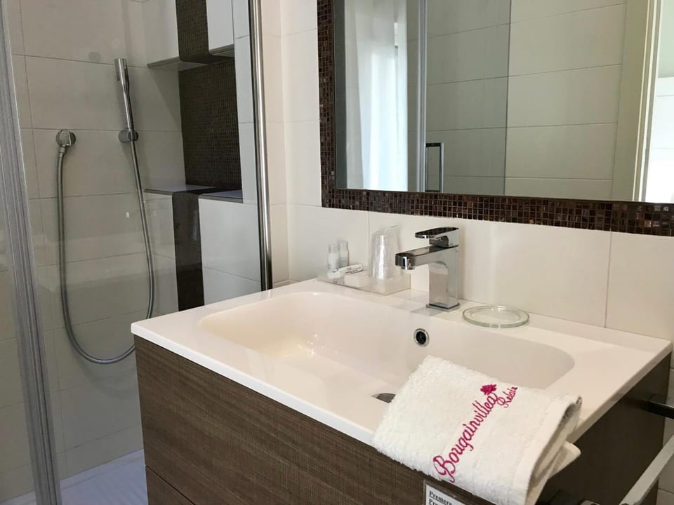 Shower, free toiletries, hair dryer, bidet