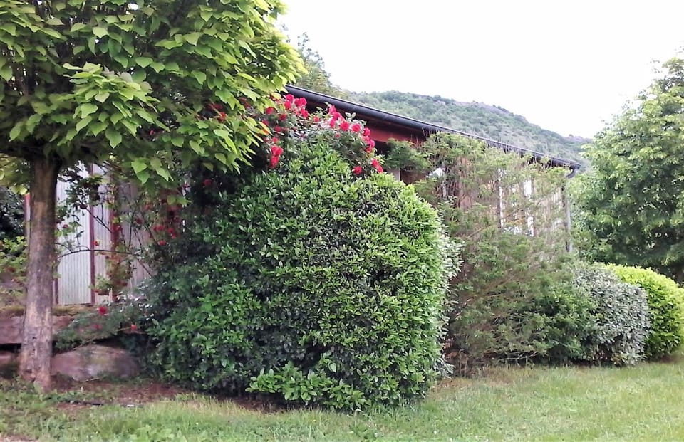 20180529_155730